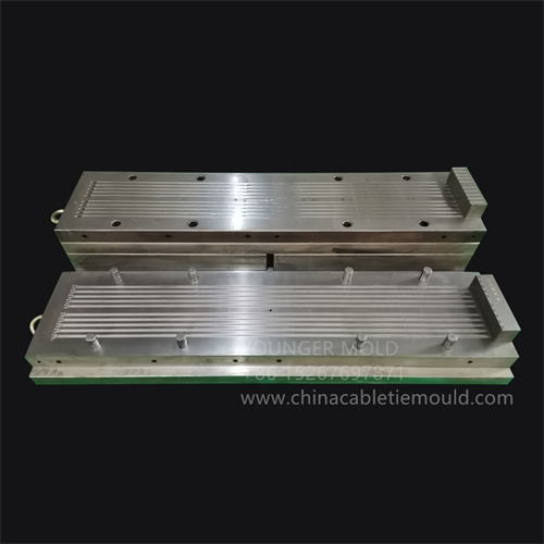 Nylon Plastic Cable Tie Mould